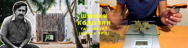 MESCALINE Аркадак