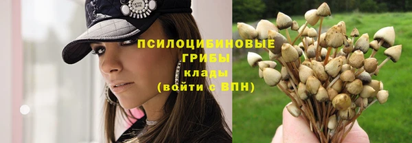 MDMA Premium VHQ Арсеньев