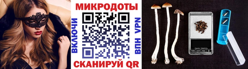 Галлюциногенные грибы Psilocybe Обоянь